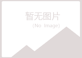 江油小夏能源有限公司